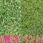 【初心者必見！】パターラインを読むための重要ポイント