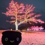 ファン歓喜！「小岩井サンタ」によるクリスマスの贈り物