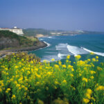 海の見えるゴルフ場でのラウンドに憧れて♡